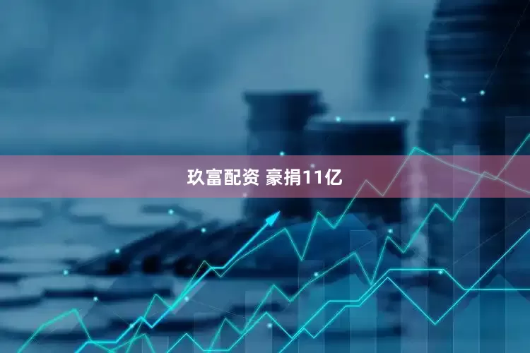 玖富配资 豪捐11亿